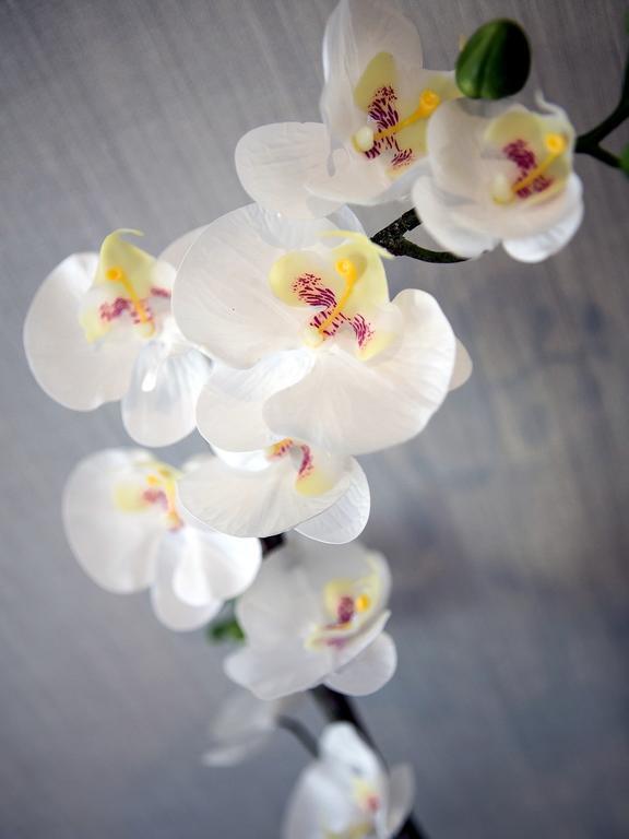 Softly Residence 비드고슈치 외부 사진